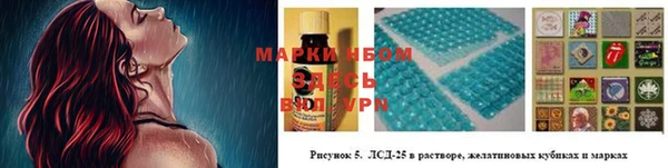 PSILOCYBIN Сатка