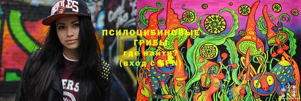 PSILOCYBIN Сатка