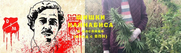 PSILOCYBIN Сатка