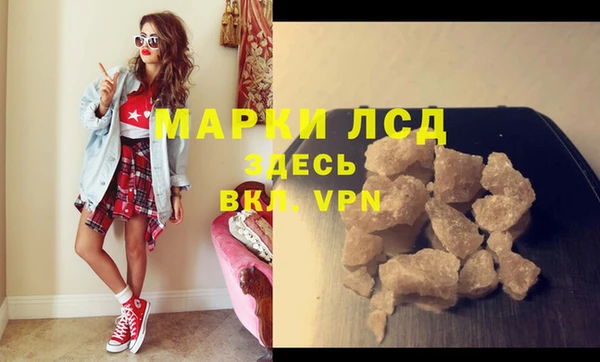 PSILOCYBIN Сатка