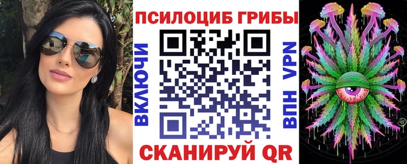 Галлюциногенные грибы Psilocybe  Купить закладки  Кострома 